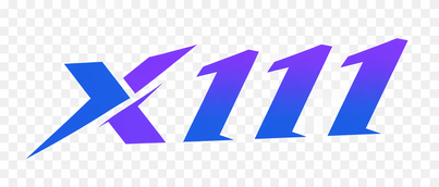 x111